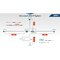 Dahua IPC-HDBW5431RP-ZE-27135 4 Mpx dome IP kamera