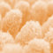 It's Win WINC-047 sada mikrovláknových utěrek, 310gsm, 40x40cm, oranžová, 5ks