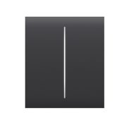 Ajax CenterButton 2-gang Graphite krytka pro spínač